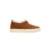 CHESTNUT SUEDE
