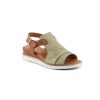 OLIVE MULTI