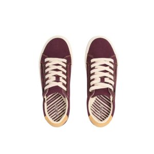 ZSL-13672 PLMD Taos Z Soul in Plum/Maize